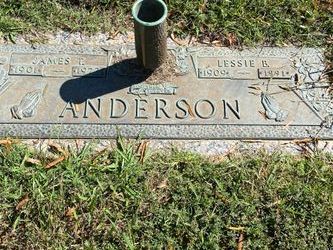James Theodore Anderson 