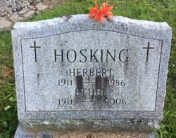 Herbert Hosking 