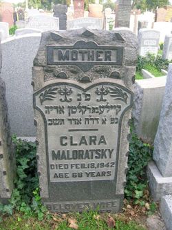 Clara Maloratsky 