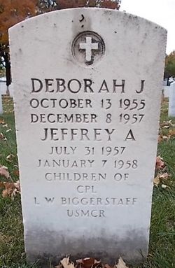 Deborah J Biggerstaff 