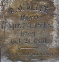 Albert J. Allee 