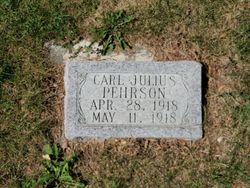 Carl Julius Pehrson 