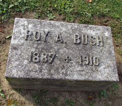 Roy A Bush 