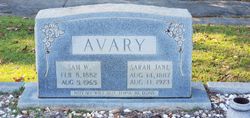 Sara Jane <I>Hankins</I> Avery 