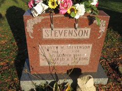 Harvey W Stevenson 