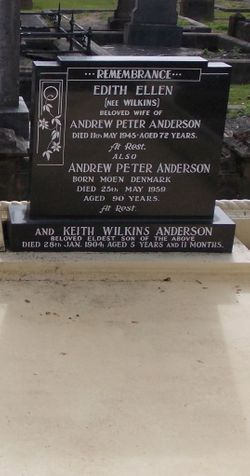 Andrew Peter Anderson 