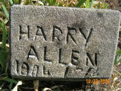 Harry H Allen 