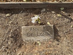 Ann E De Long 
