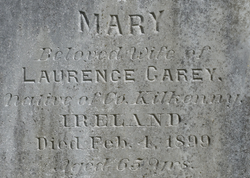 Mary Carey 