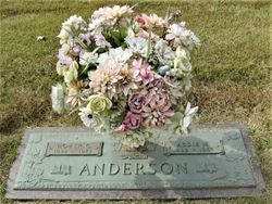 Addie Malinda <I>Vincent</I> Anderson 