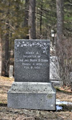 Mary Ann Shaw 