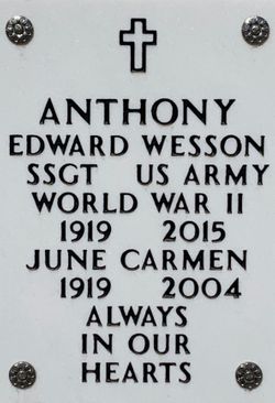 Edward Wesson Anthony 