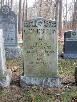 Davis Goldstein 