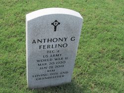 Anthony George Ferlino 