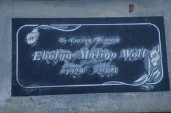 Ebolya Maliga Wolf 