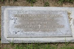 Wayne Raymond Davis 