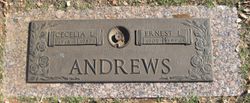Ernest Lee “Andy” Andrews 