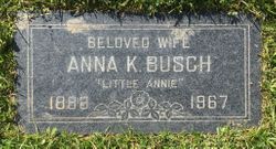 Anna K Busch 