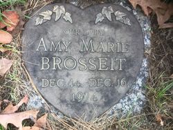 Amy M. Brosseit 