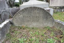 William Battersby Hartridge 