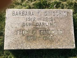 Barbara F Ginochio 