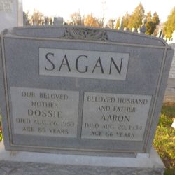 Aaron Sagan 