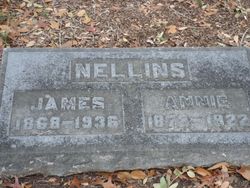 James S Nellins 