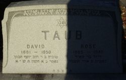 David Taub 