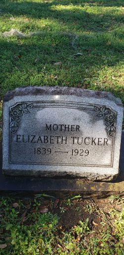 Elizabeth <I>Smith</I> Tucker 