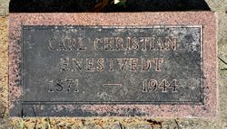 Carl Christian Enestvedt 