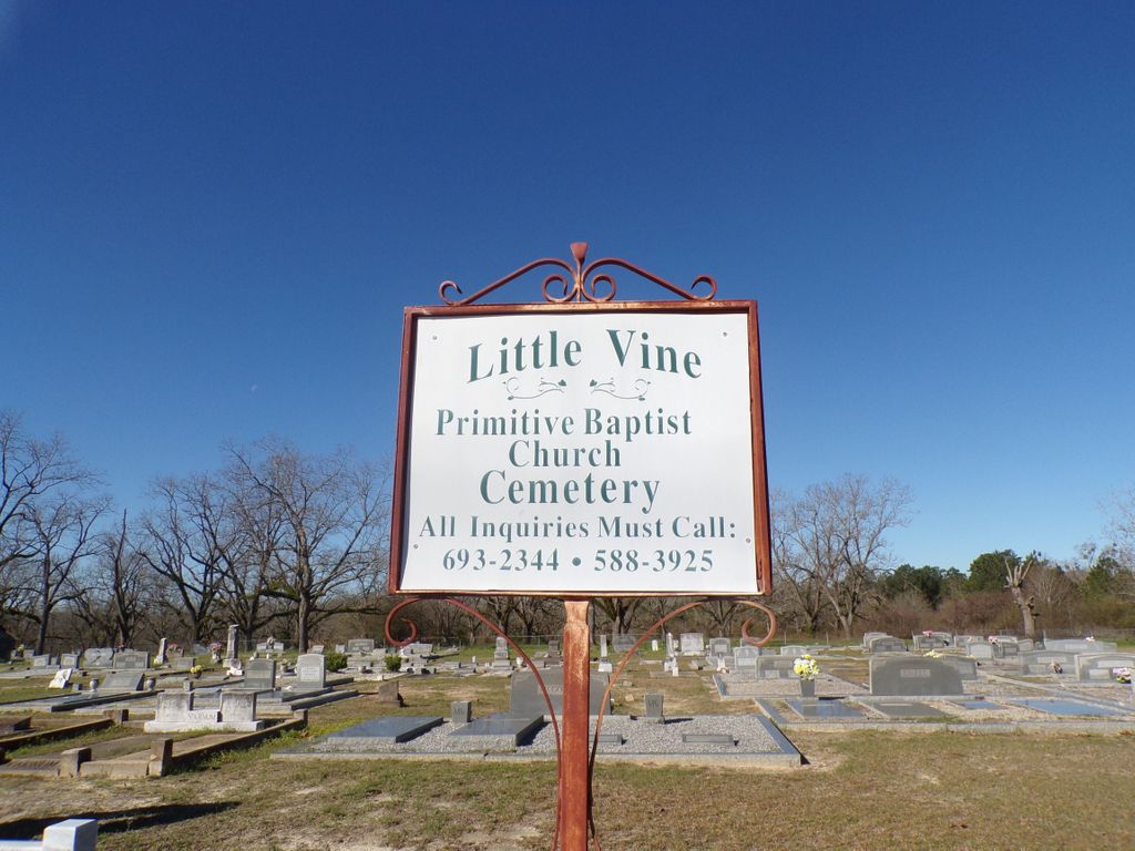 Little Vine Cemetery