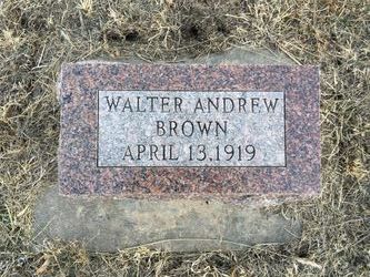 Walter Andrew Brown 