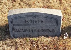 Elizabeth Otto <I>Wagner</I> Goodwin 