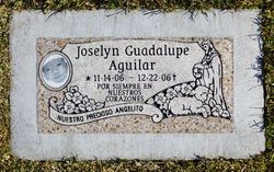 Joselyn Guadalupe Aguilar 