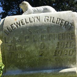 Llewellyn Gilbert Coppedge 