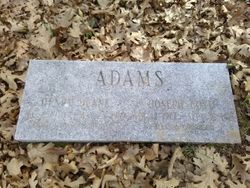 Henry Duane Adams Jr.