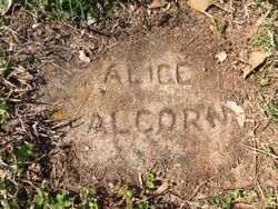 Alice Alcorn 