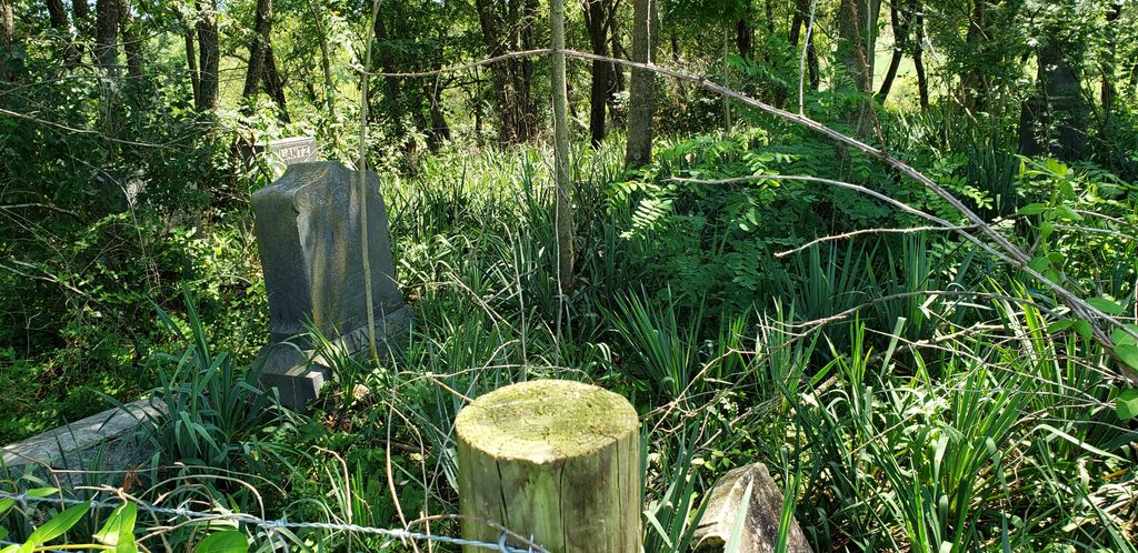 Lantz - Bowman Cemetery