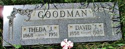David J Goodman 