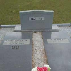 Larry U Bailey Sr.
