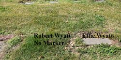 Robert Lee Wyatt 