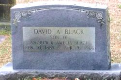 David A. Black 
