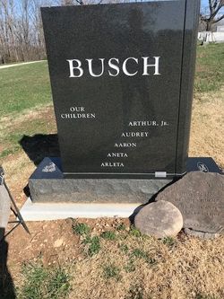 Arthur Louis Busch 