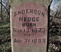 Anderson B Hedge 