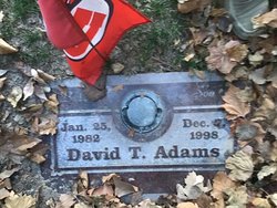 David Timothy Adams 