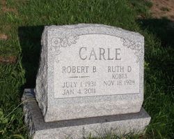 Robert B. Carle 