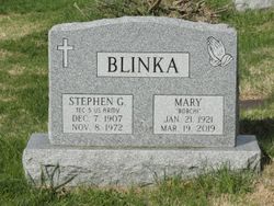 Stephen G Blinka 