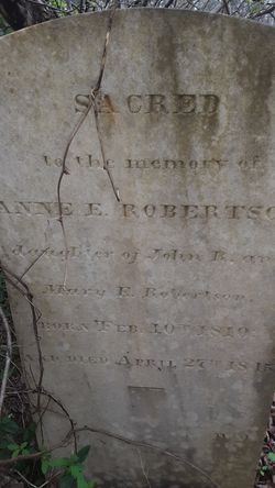 Anne E. Robertson 