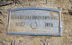 Alexander James Sun 