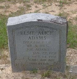 Elsie Alice Adams 